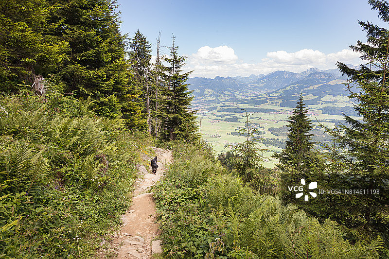 巴伐利亚阿尔卑斯山的徒步旅行路线图片素材