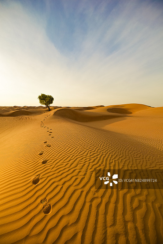 沙漠的足迹图片素材
