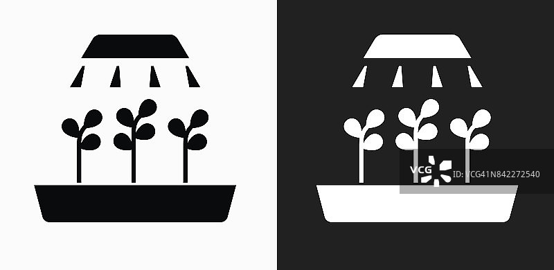 生长植物图标在黑色和白色矢量背景图片素材