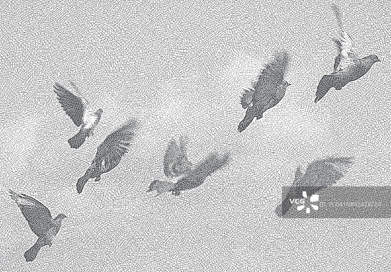 鸽群飞翔图片素材