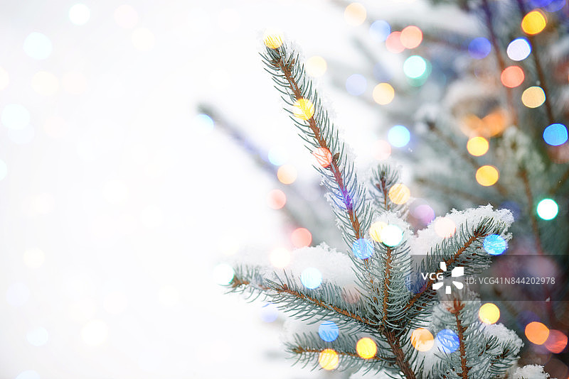 圣诞树与散景灯图片素材