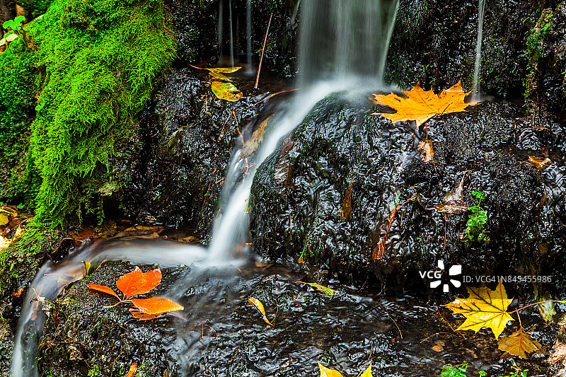 秋天公园里的瀑布图片素材