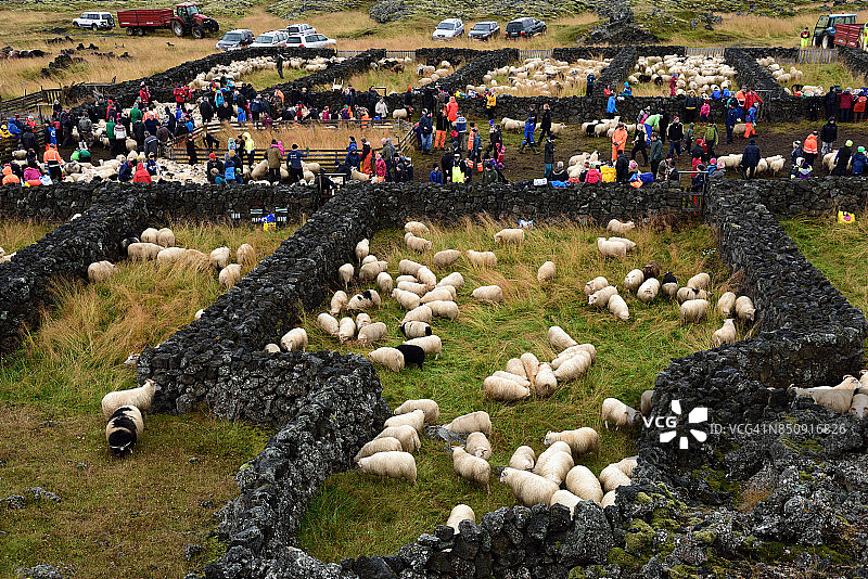 冰岛北岛的阿达达卢地区Hraunsrétt的秋季退羊图片素材