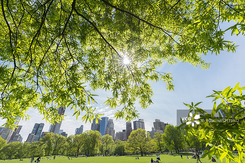 人们在纽约中央公园的绵羊草地上放松，这里在春天被新鲜的绿树环绕。春天的阳光照亮了曼哈顿市中心的摩天大楼和新鲜的绿树。图片素材