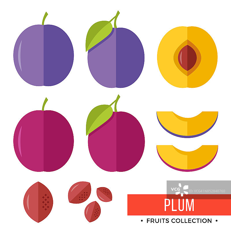 李子。紫梅及其部分、片、核、叶、核。的水果。平面设计图形元素。矢量图图片素材