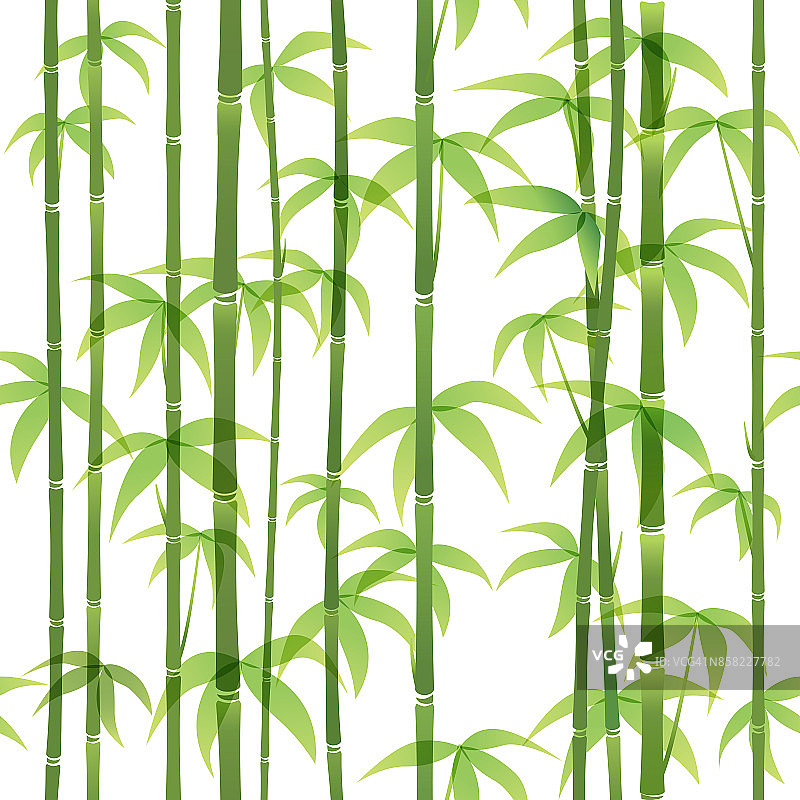 竹模式图片素材