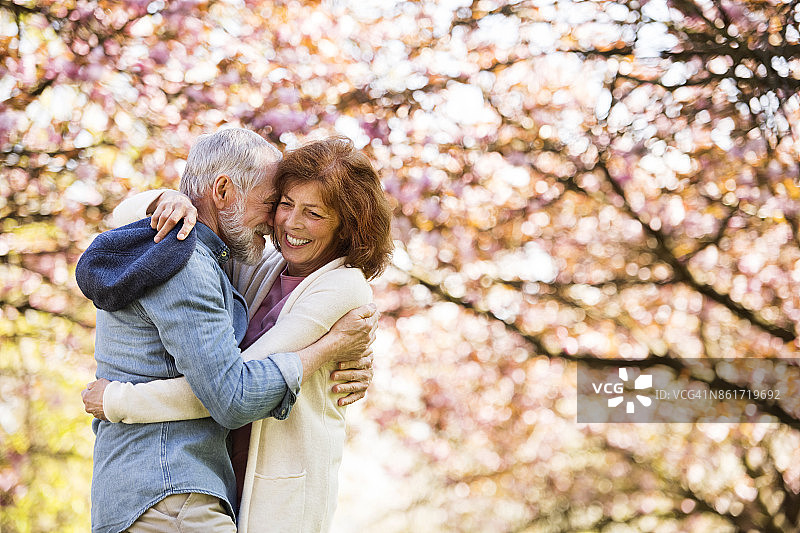 一对美丽的老年夫妇在春天的大自然中相爱。图片素材