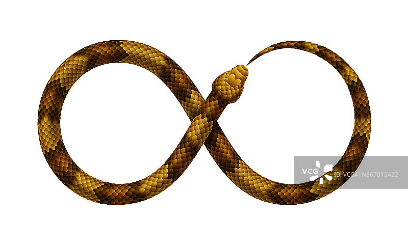 矢量蛇以无穷符号的形式咬它的尾巴。图片素材