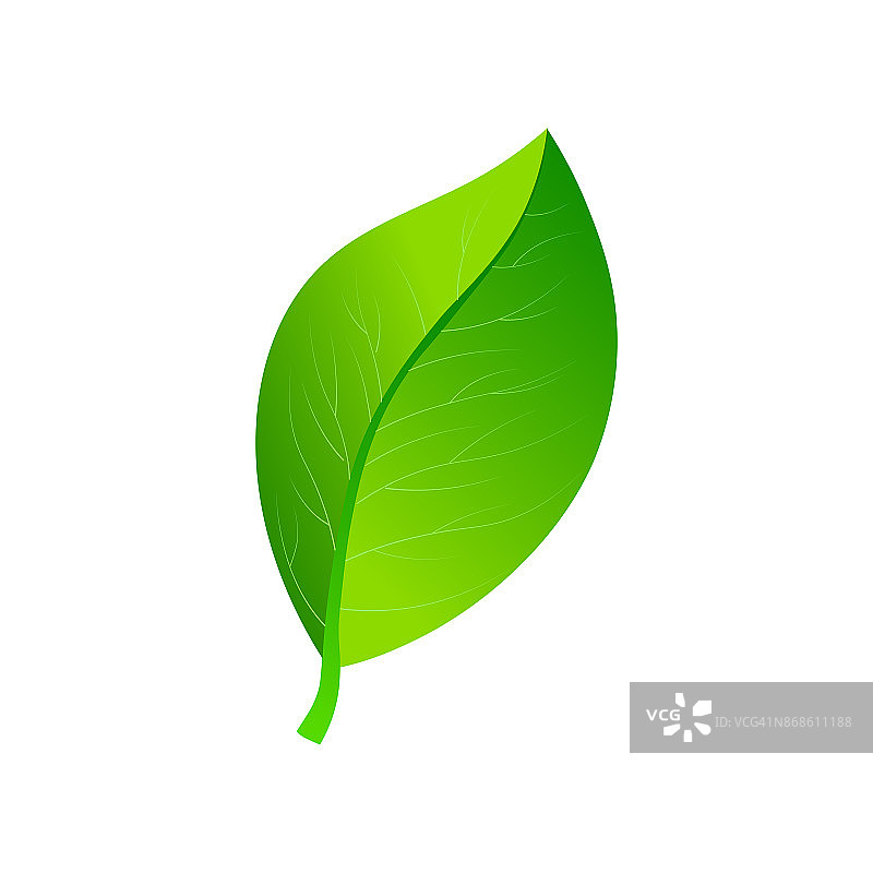 矢量插图的生态概念图标与光泽的绿叶。环保的概念。图片素材