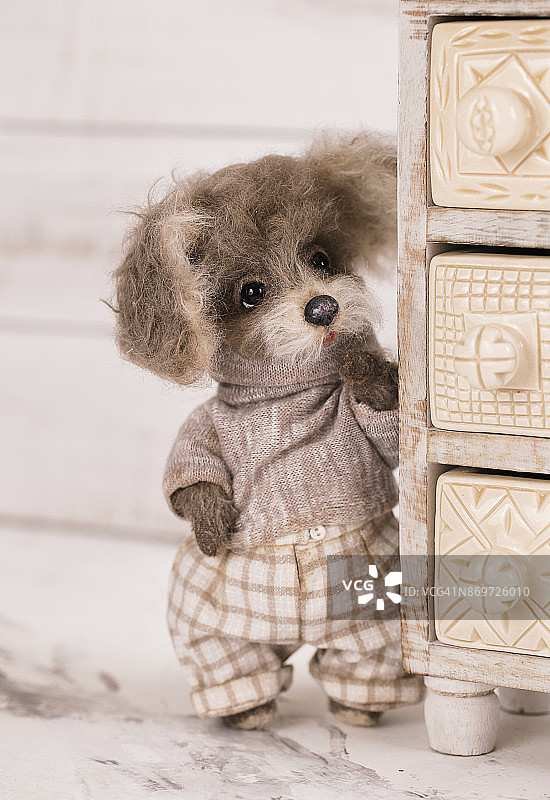 玩具泰迪狗停留在米色的背景图片素材