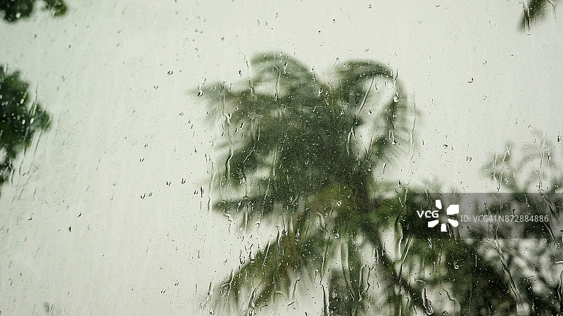 雨点打在窗户上，风吹着树的背景。图片素材