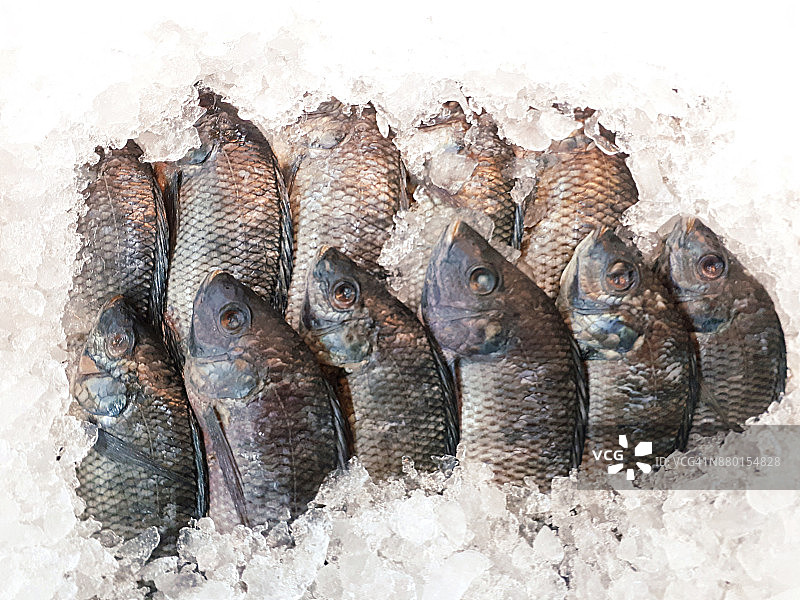 在印度尼西亚雅加达的零售市场上，许多新鲜的鱼装在冰盒里出售图片素材