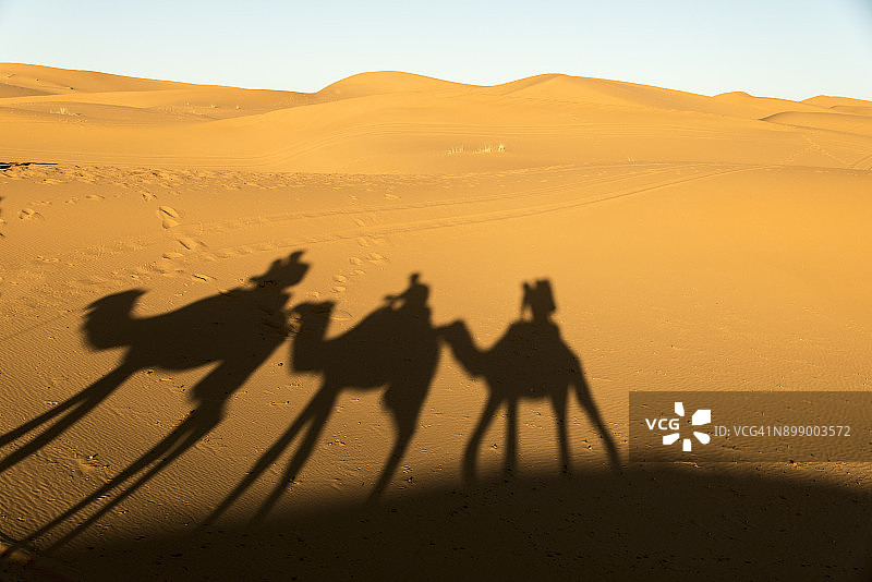 骆驼的影子在撒哈拉沙漠沙丘，Merzouga，摩洛哥图片素材