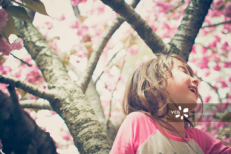 一个年轻的女孩在一棵樱花树上微笑。图片素材