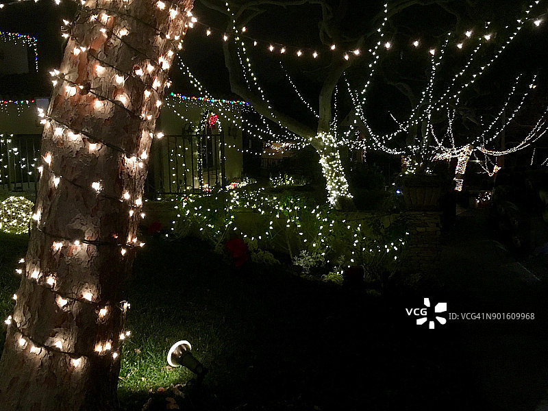 圣诞树和前院挂着白色圣诞灯，夜晚图片素材