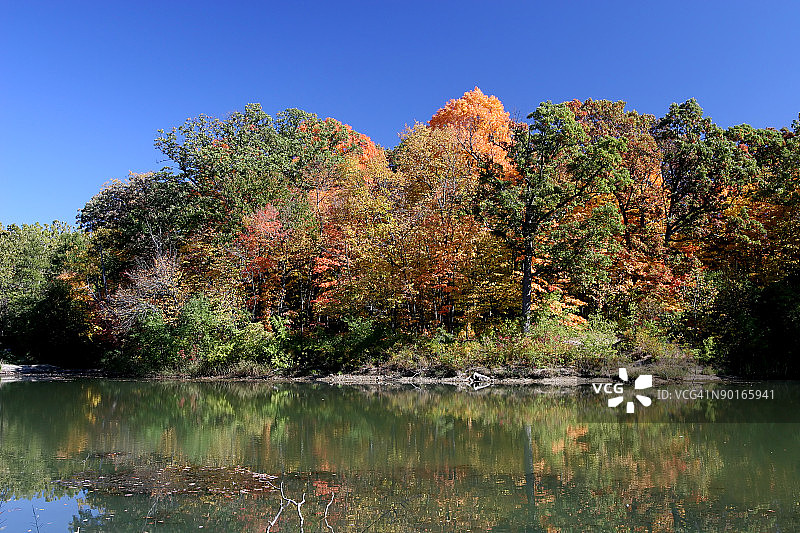 秋天的树的颜色和湖图片素材