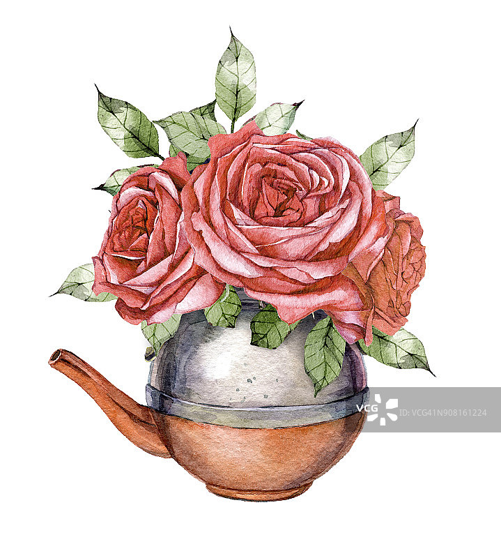 手绘水彩铜壶与一束紫色的花玫瑰在白色的背景图片素材