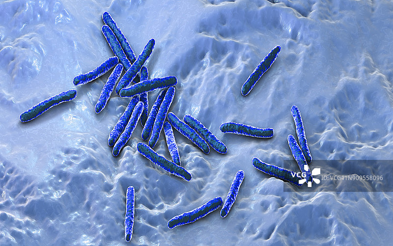 结核分枝杆菌的细菌图片素材