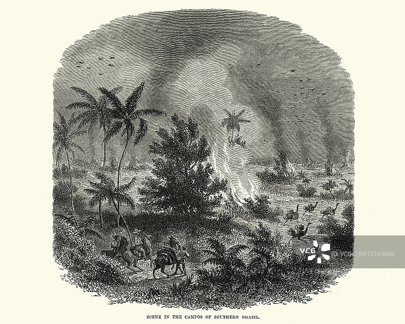 19世纪巴西南部坎波斯的野火图片素材