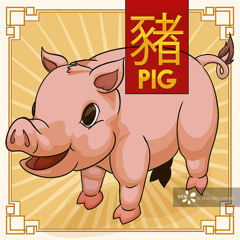 可爱的中国传统生肖动物:猪图片素材