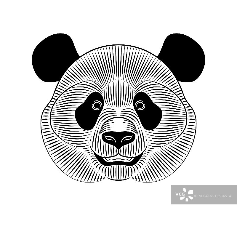 白色背景上的大熊猫图案图片素材