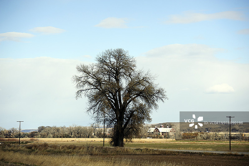 美国蒙大拿布里杰附近的乡村景色图片素材