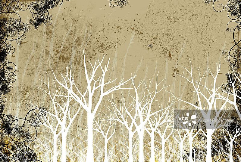 光秃秃的冬季树木图片素材