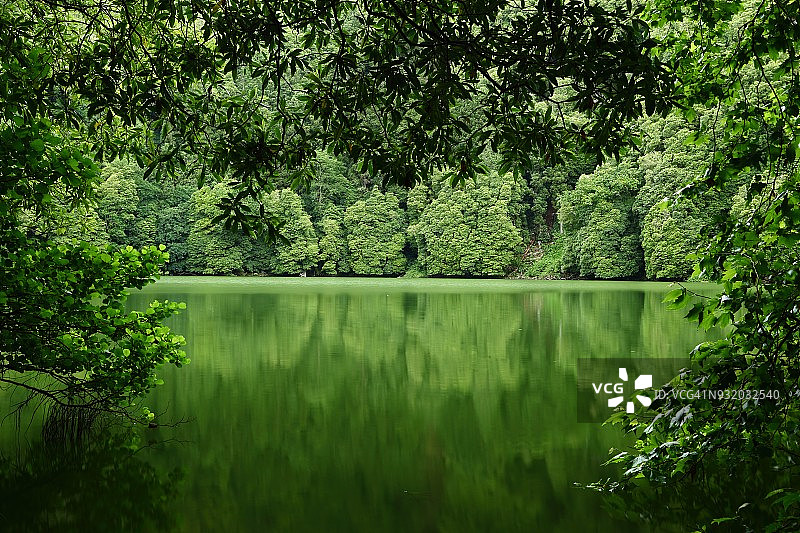 绿树成荫的湖面倒影图片素材