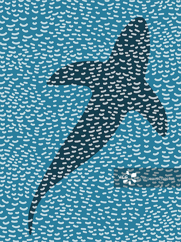 鲨鱼阴影，鲸鱼，海里的虎鲸图片素材