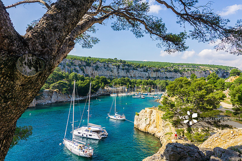 美丽的自然Calanques在法国蔚蓝的海岸。图片素材