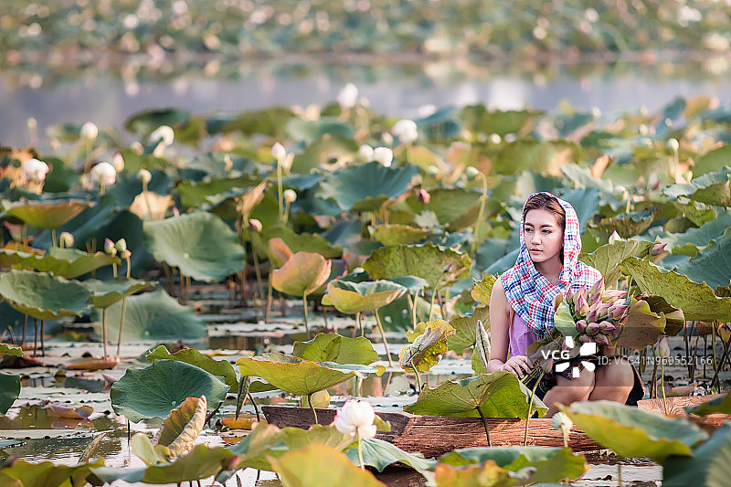 亚洲妇女在泰国传统服饰文化在莲花田农场。图片素材