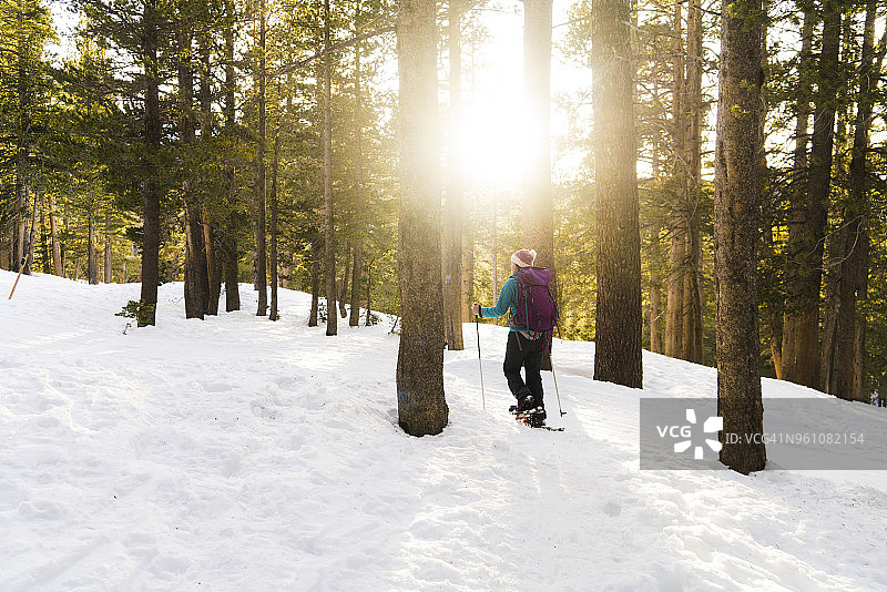 拿着滑雪杖在白雪覆盖的森林里行走的女人图片素材