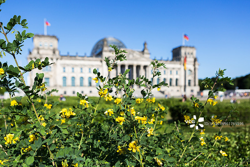 德国柏林:春花与国会大厦(德国议会大厦)图片素材