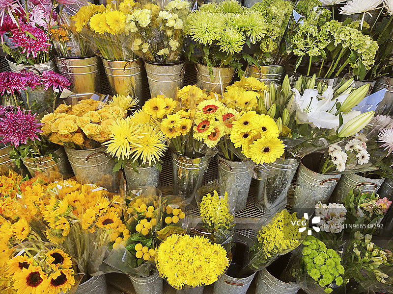 花卉市场展示各种不同颜色的花朵在单独的容器。图片素材