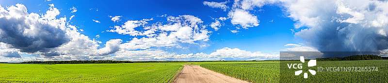 小麦和黑麦的农田全景图片素材