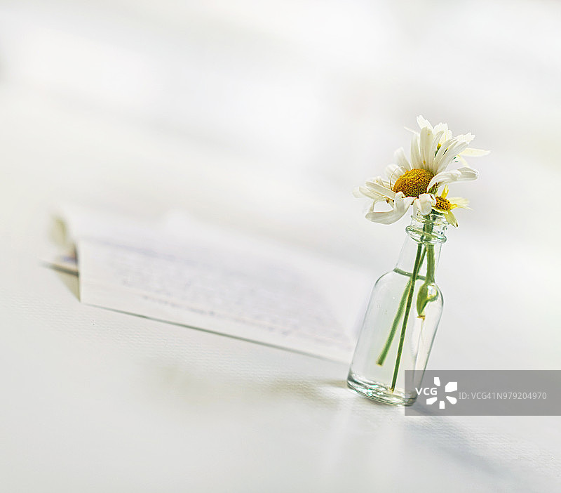 花瓶里的花和一封信图片素材