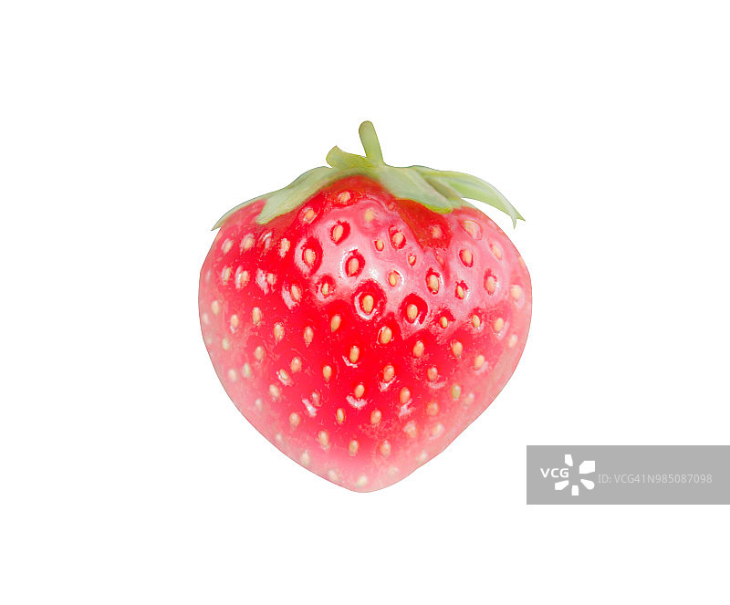 红莓草莓图片素材