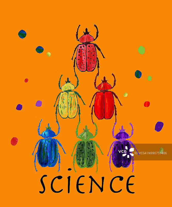 甲虫，昆虫，昆虫科学-排版图片素材