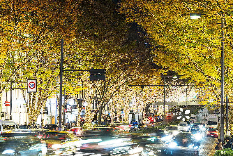2017年12月5日，日本东京涩谷，在冬季节日的夜晚，表参道街上，汽车穿过一排排灯火通明的秋叶树。图片素材