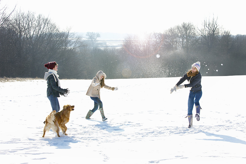 少女和狗在打雪仗图片下载