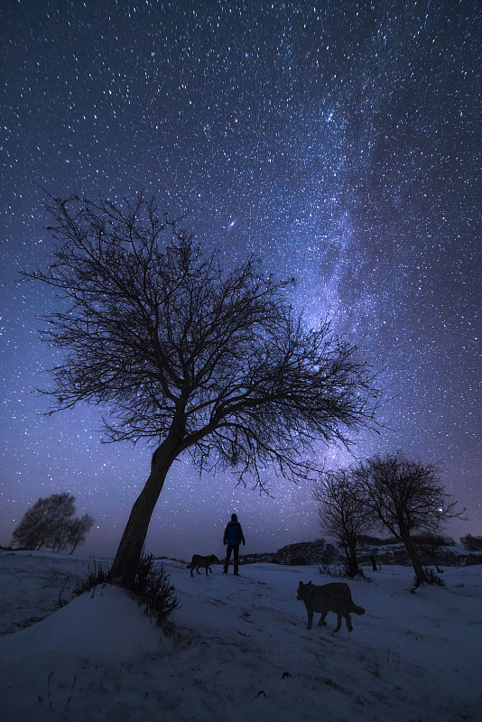 星空下孤独的一个人站在雪地上图片