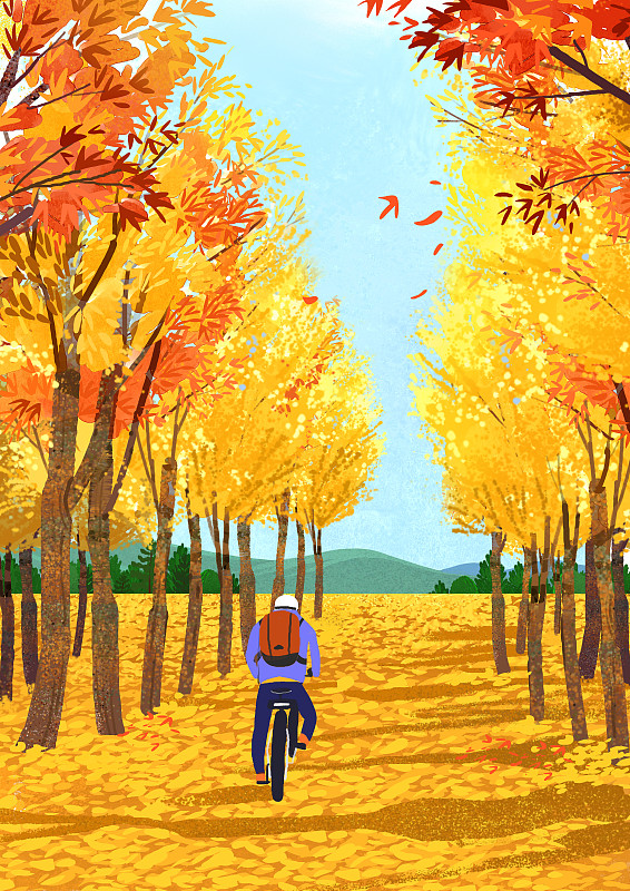 背景,季节,秋天,自然,风景,自行车,后视图,枫树叶、森林图片下载