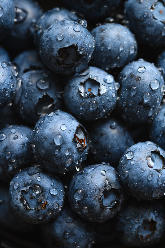 新鲜的蓝莓和水滴图片素材