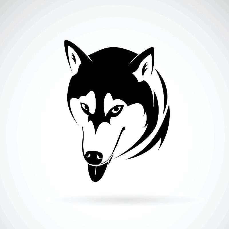矢量西伯利亚哈士奇狗头设计在白色的背景体育图片