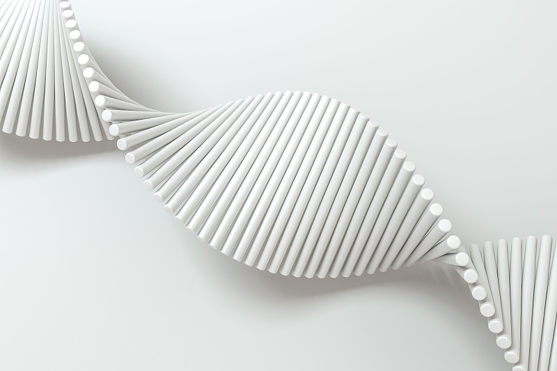 螺旋状DNA与白色背景，三维渲染图片下载