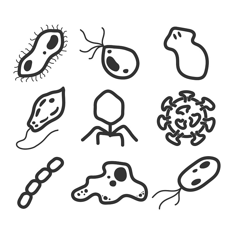 细菌病毒儿童简笔画图片