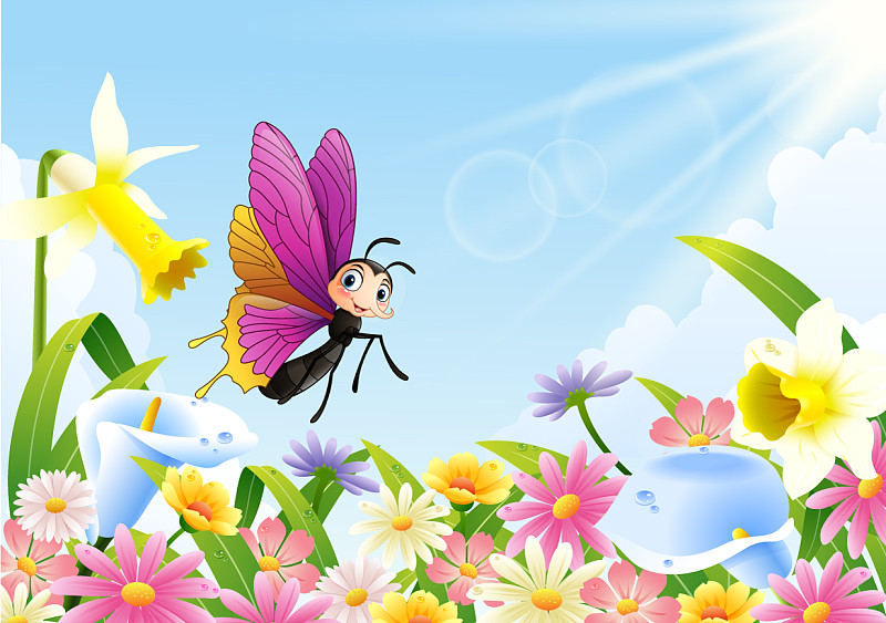 可爱的蝴蝶在花丛中飞舞图片