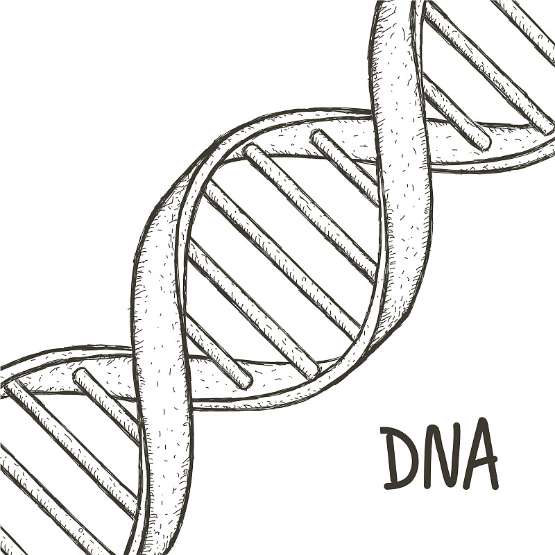 黄金dnadna符号dna螺旋符号基因图标图片素材