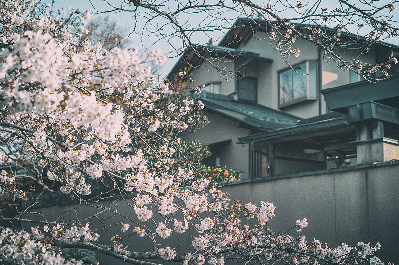 日式住宅区图片下载