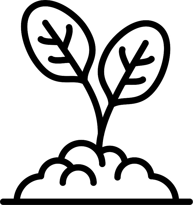 菠菜植物图标轮廓样式图片